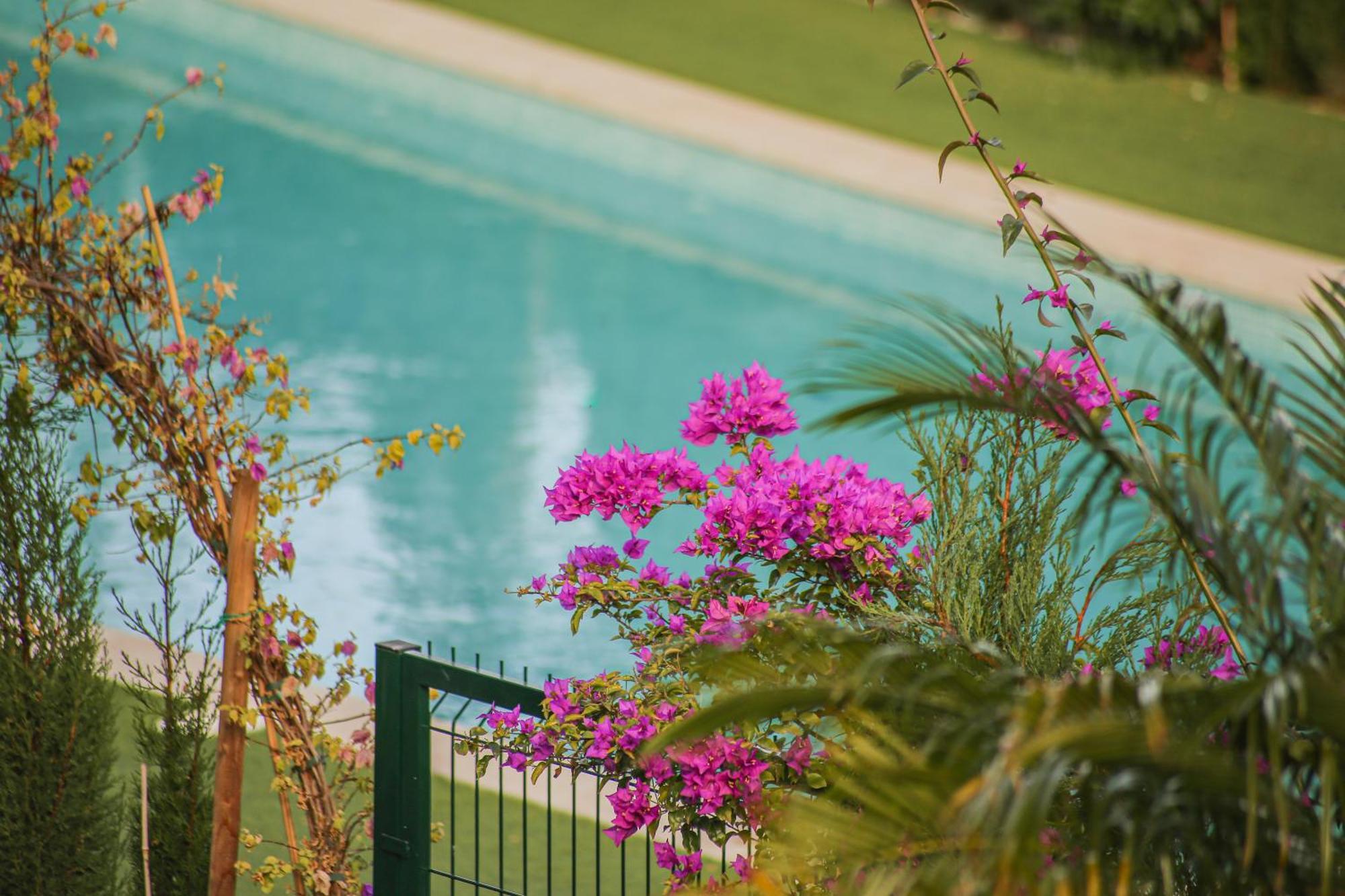 Modern Flat With Montgo View * Dénia