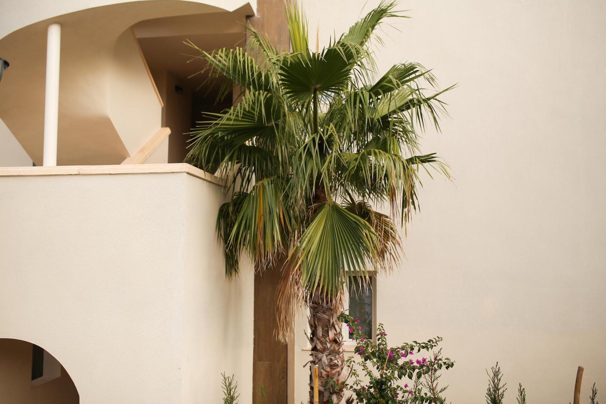Modern Flat With Montgo View *